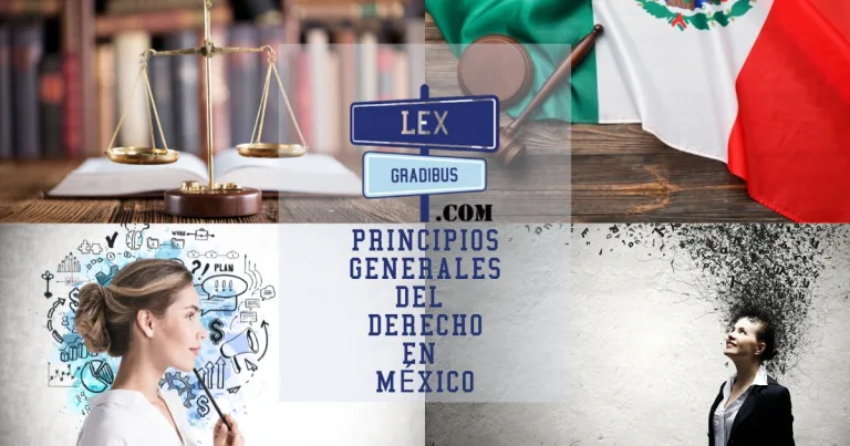 Principios-generales-del-Derecho-Mexico