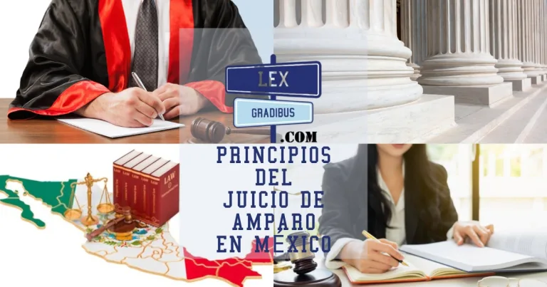 Principios-del-Juicio-de-Amparo-en-Mexico