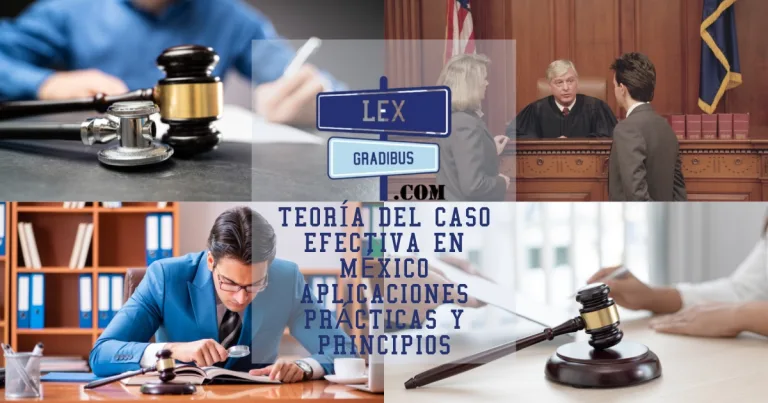 Teoría del caso efectiva en México. Aplicaciones prácticas y Principios