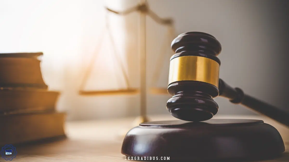 Debido proceso en el Recurso de Inconformidad IMSS